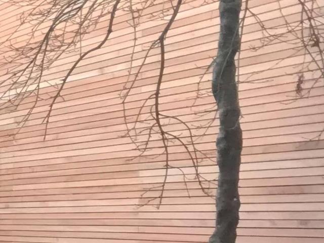 Co2 Grandis® Slatted Fencing hardwood fencing batons red grandis